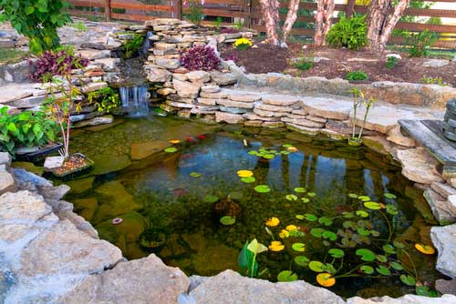 Rent a Roll-off Container for Spring Landscape Projects.  Koi pond filled with water lilies and surrounds by rocks. 